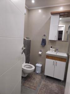 a white bathroom with a toilet and a sink at Apartman Dora in Doboj +16 photos