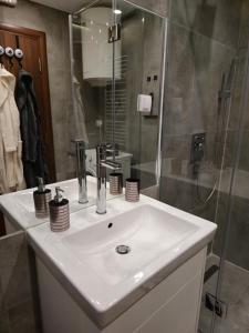 Koupelna v ubytování Apartment Open Space Belgrade Zemun + 17 fotografií