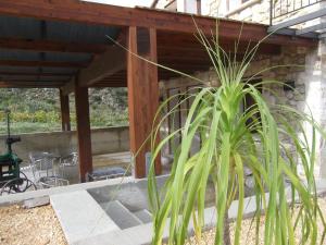 A garden outside Casolare La Torre