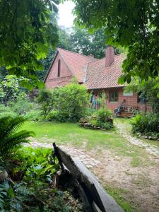 Κήπος έξω από το Baumhaus Solitär