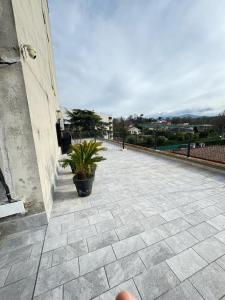 a patio with a potted plant on the side of a building at Favoloso CON TERRAZZO in Frosinone