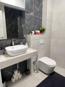 een badkamer met een wastafel en een toilet bij Vučko Delux in Bjelašnica +18 foto's