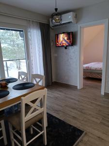 Телевізор і / або розважальний центр в Apartman Maksimović Divčibare