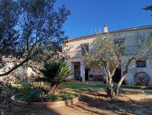 En have udenfor Spacious house with sea view