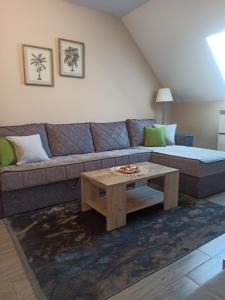 Зона вітальні в Apartman Maksimović Divčibare