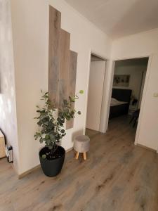 Fotografie z fotogalerie ubytování Apartments Lanterna Ražanac v destinaci Ražanac