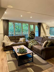 a living room with a brown couch and a christmas tree at Cosy Cabin Durbuy in Durbuy