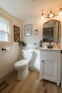 a bathroom with a toilet and a sink and a mirror at Hadley Hideaway Cottage in Hadley