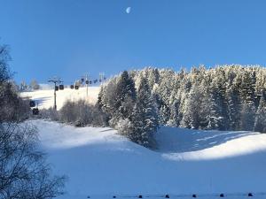MountApart Ski in - Ski out - Sommercard zum halben Preis - Gültig von Juli bis September 2025 v zimě