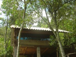 uma casa na árvore no meio da floresta em Orgânica-Mente B&B em Viscode de Mauá