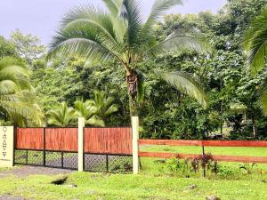 Fotografie z fotogalerie ubytování Quintaesencia Arte y Naturaleza v destinaci Guápiles