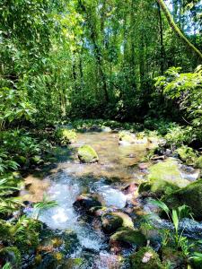 Fotografie z fotogalerie ubytování Quintaesencia Arte y Naturaleza v destinaci Guápiles