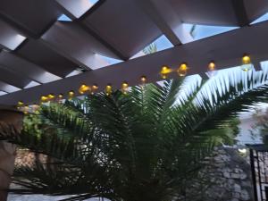 Fotografie z fotogalerie ubytování Apartments Lanterna Ražanac v destinaci Ražanac
