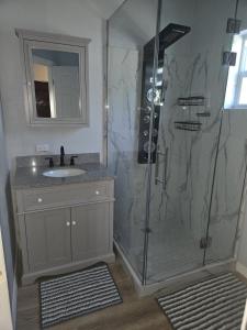 a bathroom with a shower and a sink at Sunburst Studio in Turtle Cove