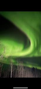 an image of the aurora borealis in the sky at Whole House Aurora View with Hot tub, Sauna and AC in Fairbanks