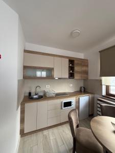 Kuchyň nebo kuchyňský kout v ubytování Vidik Residence A23