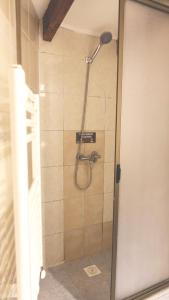 a shower with a shower head in a bathroom at Estero El Claro Hotel y Cabañas in Pucón +45 photos