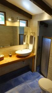 a bathroom with a sink and a toilet at Estero El Claro Hotel y Cabañas in Pucón
