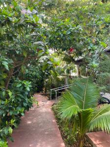 Taman di luar Elysium