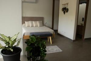 Χώρος καθιστικού στο Norte Cali- Bosque Living - 104