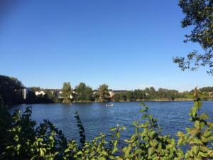 vistas a un lago con patos en el agua en Holiday Home Dee/Syre am Erlenhofsee, en Ransbach-Baumbach
