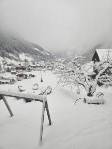 Lieblingsplatz - Ski in und Ski out v zime