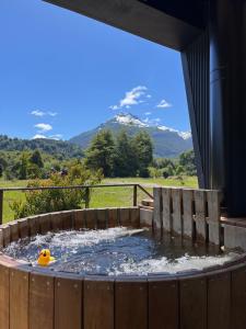 Puerto DunnAysén Lodge - Cabaña con Tinaja的山景热水浴池