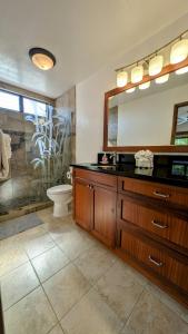 een badkamer met een wastafel en een spiegel en een toilet bij Seaside Retreat Condo in Kailua-Kona