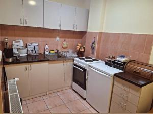 a kitchen with a stove and a counter top at Jezero in Arandelovac