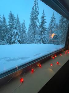 Chalet Dachstein v zime