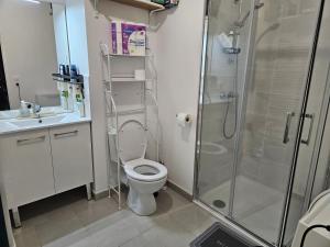 a bathroom with a shower and a toilet and a sink at Lit simple -canapé lit dans appt partagé in Noisy-le-Grand