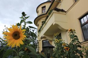 ein Gebäude mit einer Sonnenblume davor in der Unterkunft Pension Vogtländer in Plauen