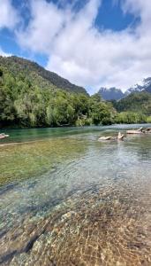 Gallery image of Refugio Salvatierra in Puerto Cisnes