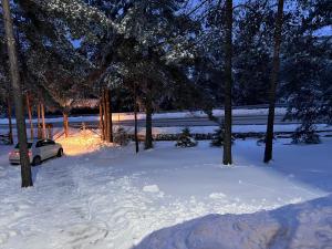 Vikendica Martinović kapag winter