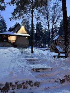 eine Hütte im Wald im Schnee in der Unterkunft Vikendica Martinović in Divčibare + 22 Fotos