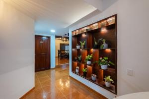 a hallway with potted plants on shelves at Hotel Chalet El Castillo by Majuva in Armenia