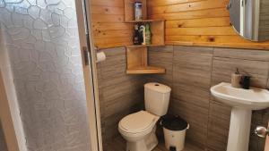 ein kleines Badezimmer mit Toilette und Waschbecken in der Unterkunft Cabaña kiro in Dalcahue
