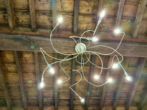 a chandelier with lights hanging from a ceiling at Cuore al centro - luxury apt near Egyptian Museum with parking by Home a porter in Turin