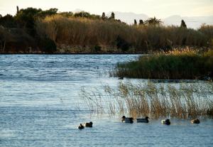Fotografie z fotogalerie ubytování Hotel Can Ceret v destinaci Sant Pere Pescador