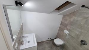 a white bathroom with a toilet and a shower at Private Room - Terasa - Gradina in Paşcani