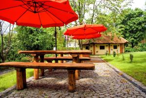Zahrada ubytování Villa Carmen