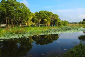 Imagem da galeria de Leon Lakeside Hotel - Kataragama em Gotamegama