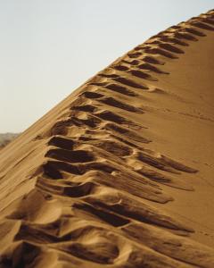 Fotografie z fotogalerie ubytování Bivouac Joudour Sahara v destinaci Mhamid