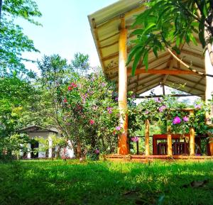 Zahrada ubytování Banana Shade Cottage