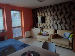 Posezení v ubytování Apartman Sofie Harrachov