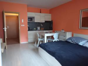 Kuchyň nebo kuchyňský kout v ubytování Apartman Sofie Harrachov