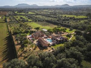 Príroda v okolí of the country house