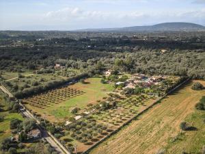Príroda v okolí of the country house