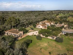 Príroda v okolí of the country house