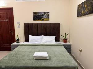 una camera da letto con un letto grande con una coperta verde di shared bathroom room a Al Ain Altre 13 foto